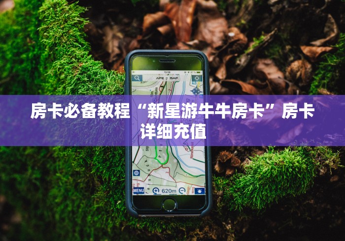 房卡必备教程“新星游牛牛房卡”房卡详细充值