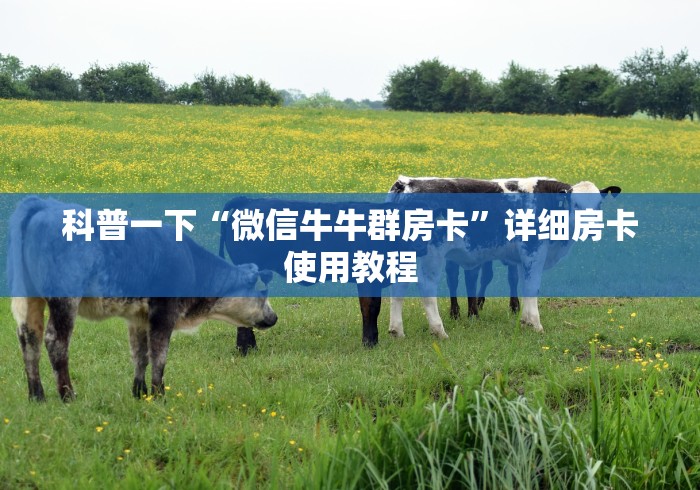 科普一下“微信牛牛群房卡”详细房卡使用教程