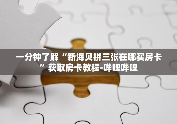 一分钟了解“新海贝拼三张在哪买房卡”获取房卡教程-哔哩哔哩