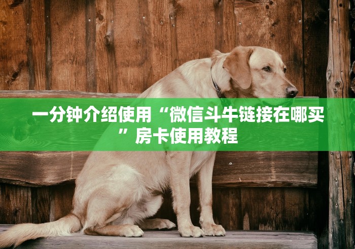 一分钟介绍使用“微信斗牛链接在哪买”房卡使用教程
