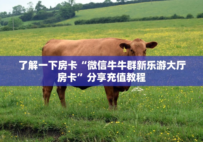 了解一下房卡“微信牛牛群新乐游大厅房卡”分享充值教程 了解一下房卡“微信牛牛群新乐游大厅房卡”分享充值教程