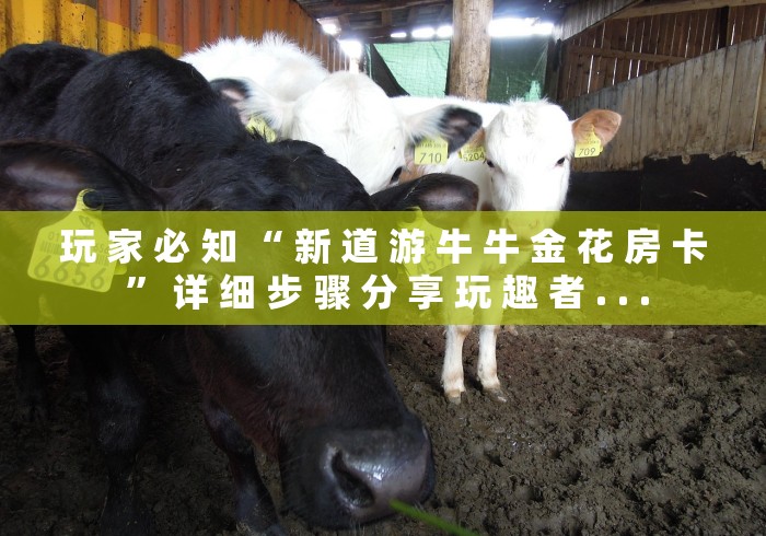 玩 家 必 知 “ 新 道 游 牛 牛 金 花 房 卡 ” 详 细 步 骤 分 享 玩 趣 者 . . .	