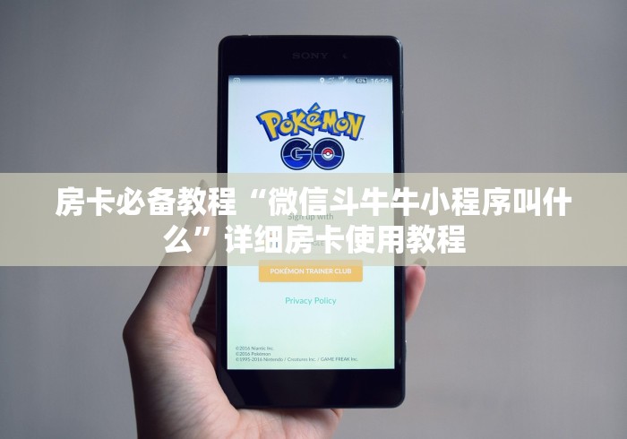 房卡必备教程“微信斗牛牛小程序叫什么”详细房卡使用教程