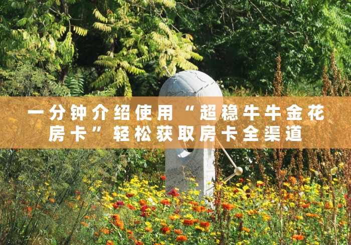 一 分 钟 介 绍 使 用 “ 超 稳 牛 牛 金 花房 卡 ” 轻 松 获 取 房 卡 全 渠 道	
