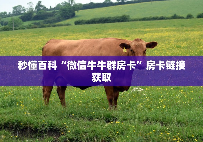 秒懂百科“微信金花链接房卡”详细房卡怎么购买教程