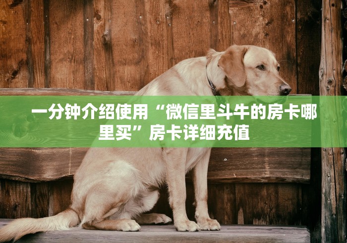 一分钟介绍使用“微信里斗牛的房卡哪里买”房卡详细充值