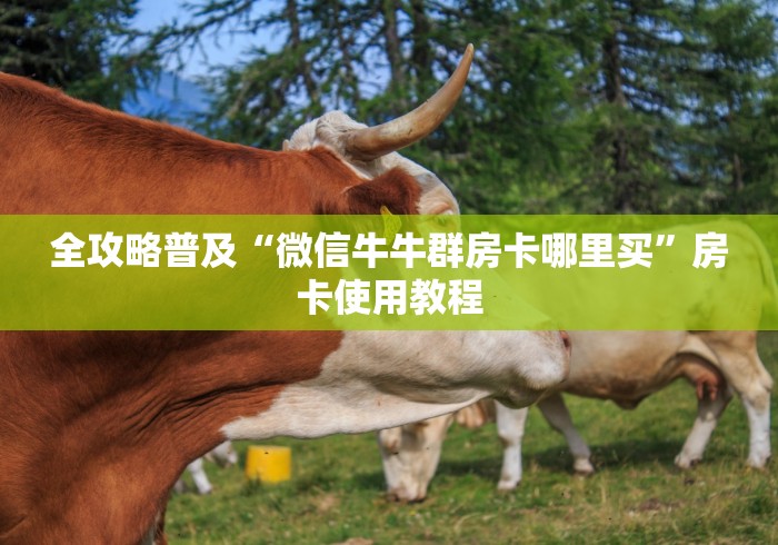 全攻略普及“微信牛牛群房卡哪里买”房卡使用教程