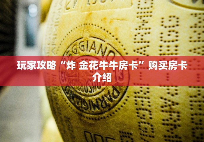 玩家攻略“炸 金花牛牛房卡”购买房卡介绍