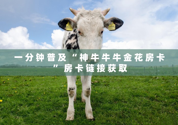 一 分 钟 普 及 “ 神 牛 牛 牛 金 花 房 卡 ” 房 卡 链 接 获 取	