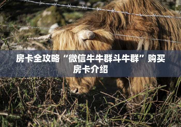 房卡全攻略“微信牛牛群斗牛群”购买房卡介绍